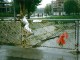 NazionaleCantantiSarajevo_ottobre1998_34