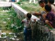 campoprofughi_kosovo08