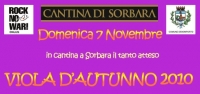 Viola d&#039;Autunno 2010